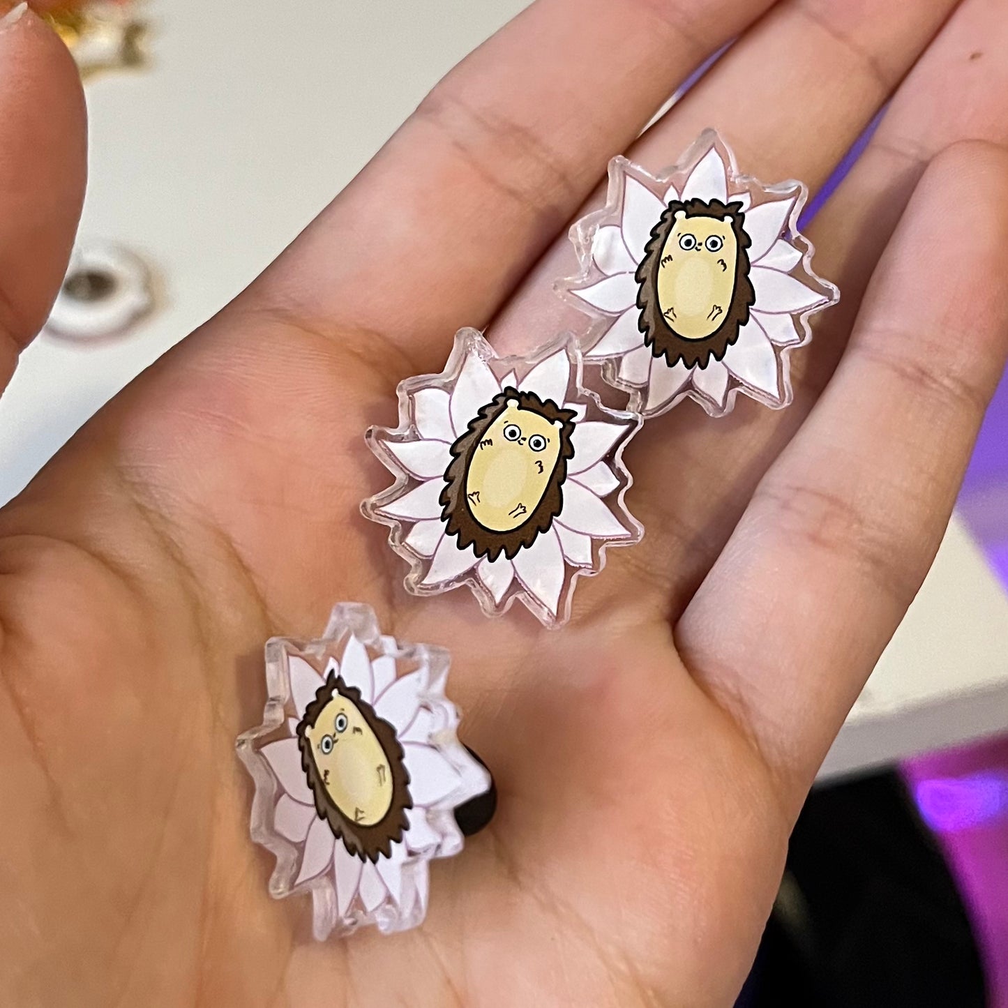 Hedgehog Acrylic Pin